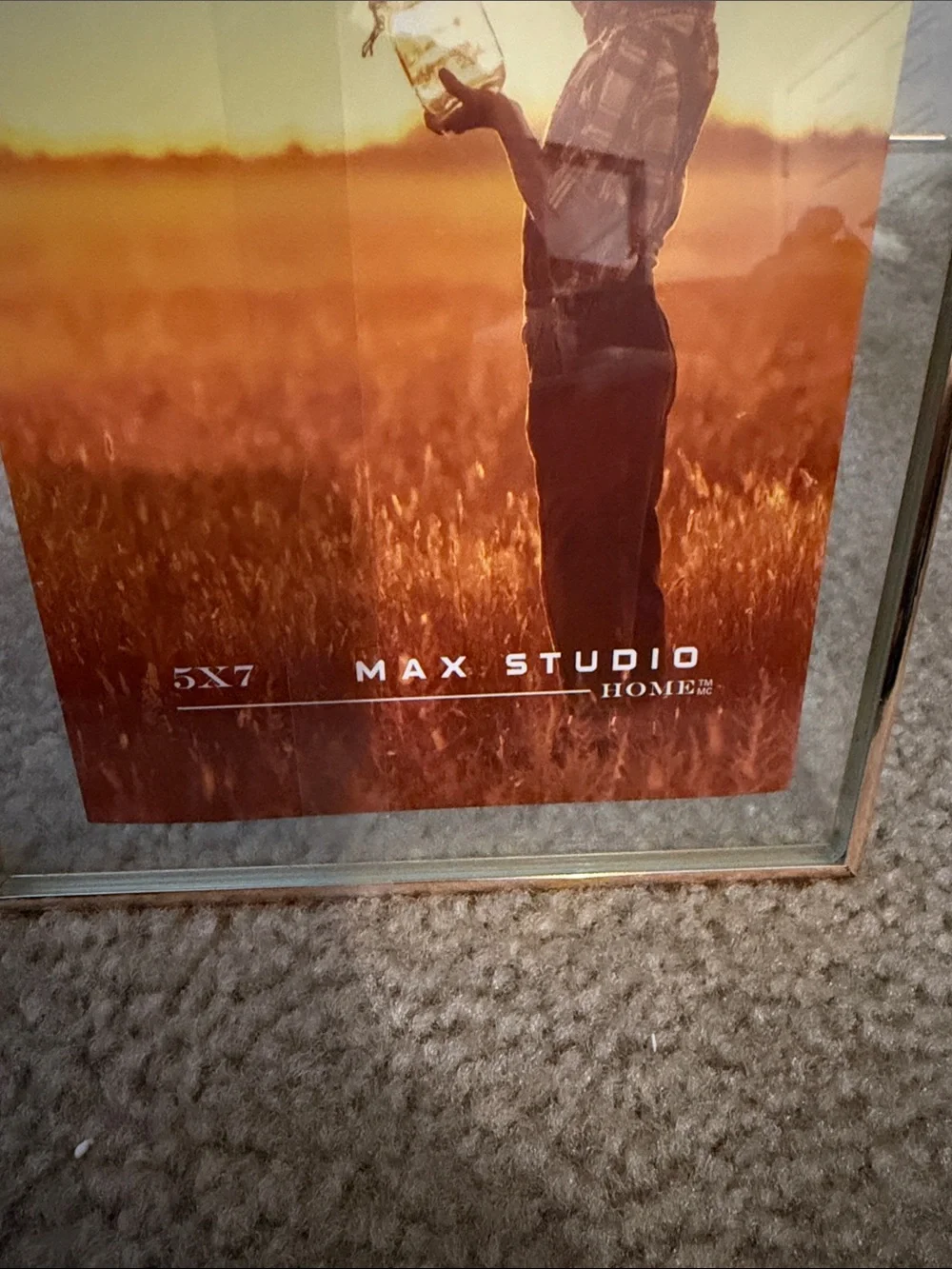 Max Studio Gold Metal Picture Frame with Mirrored Border